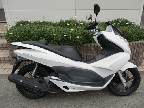 PCX 